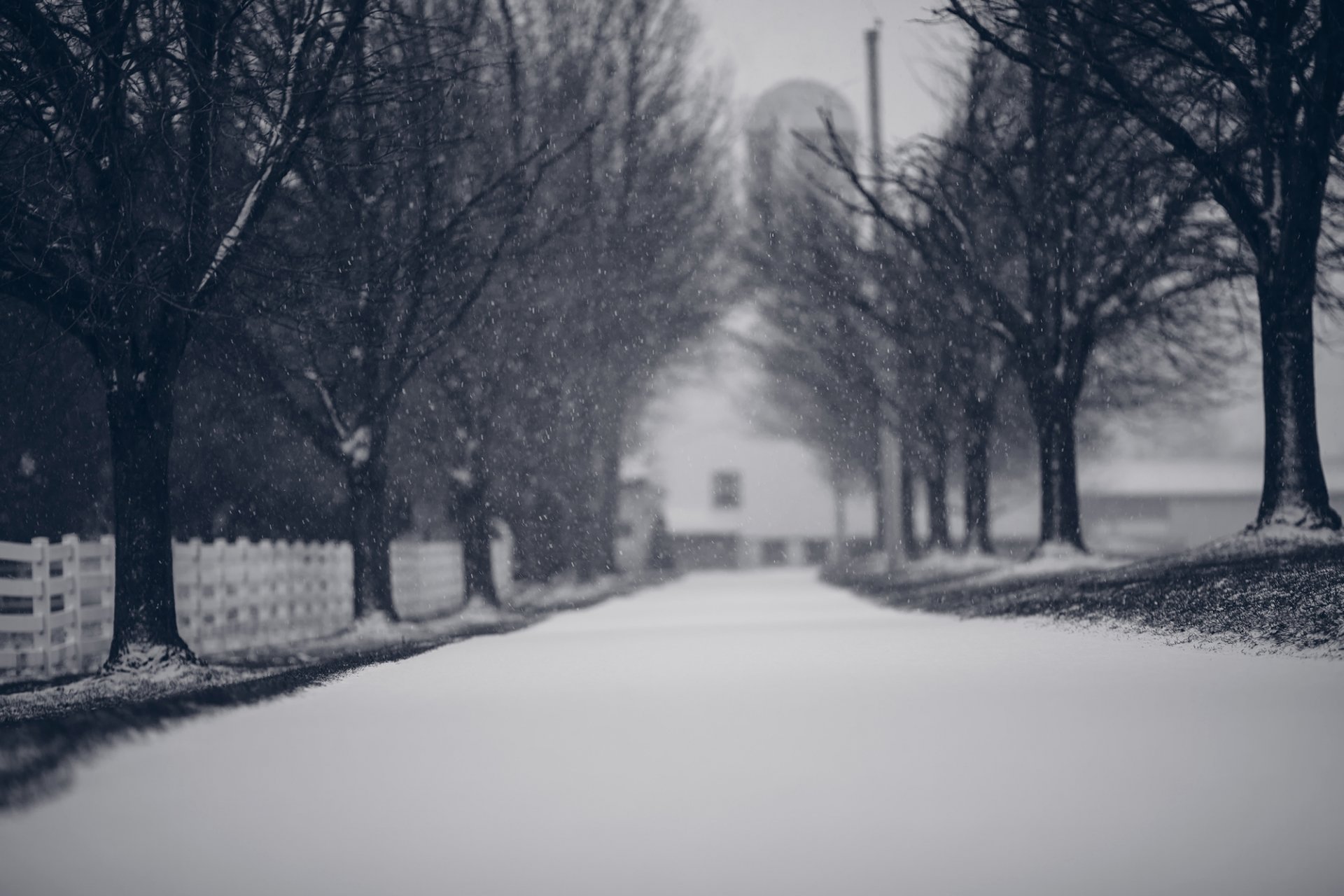 winter natur bäume zweige schnee schneeflocken straße zaun