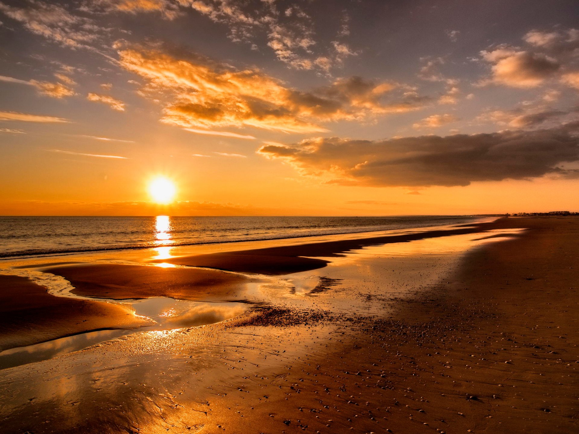 beach ocean sun