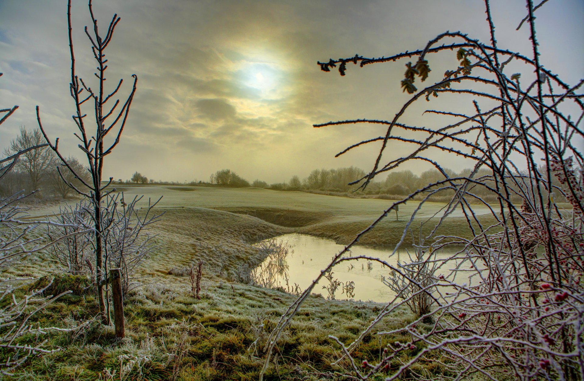 winter schnee lichtung teich büsche himmel wolken