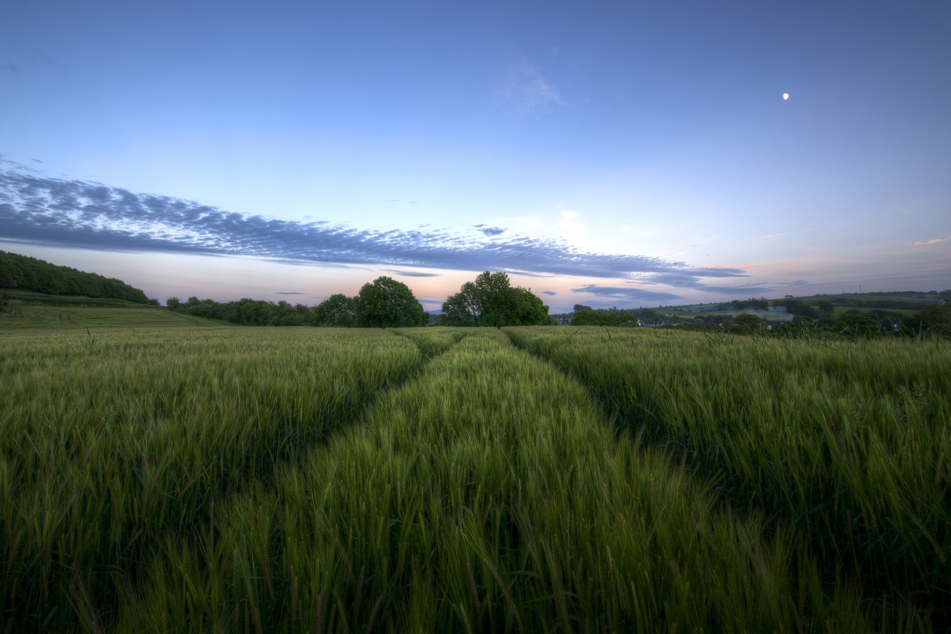 großbritannien nordirland feld abend dämmerung bäume himmel wolken mond