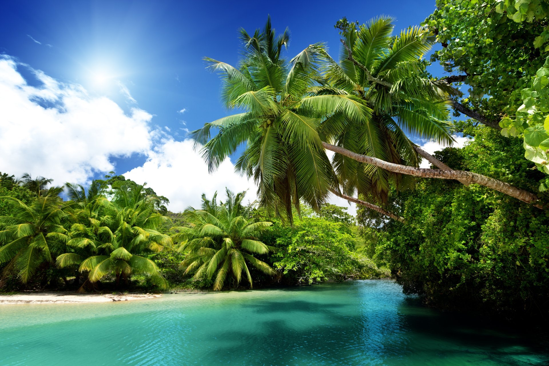 tropical paradis plage mer bleu émeraude océan palmiers été vacances tropiques soleil