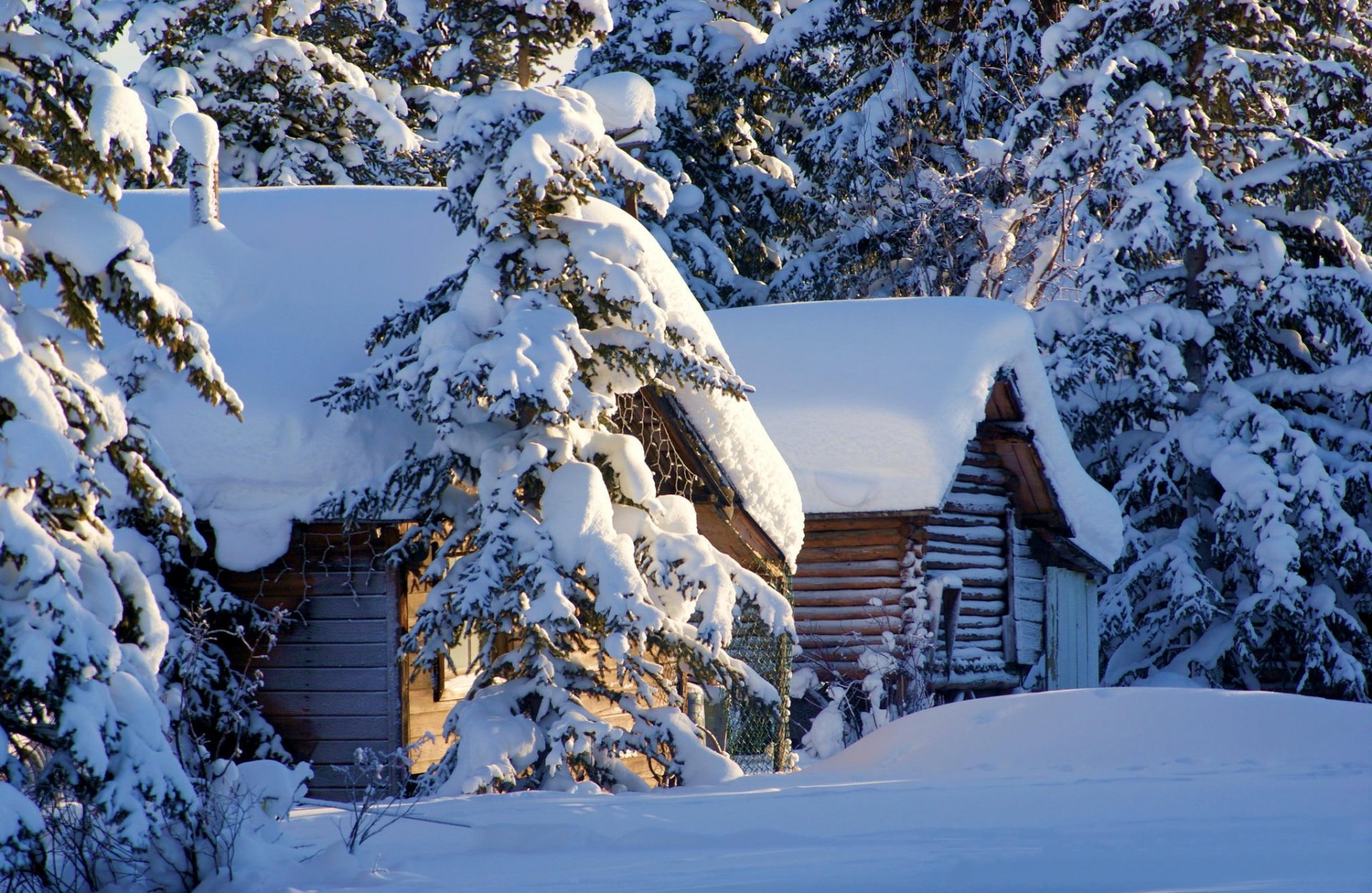 nieve abeto casa invierno