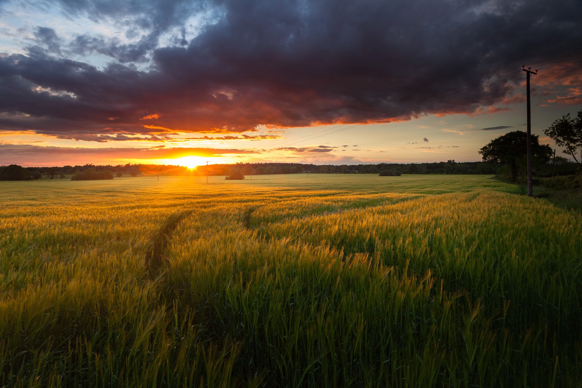 the field sun cloud