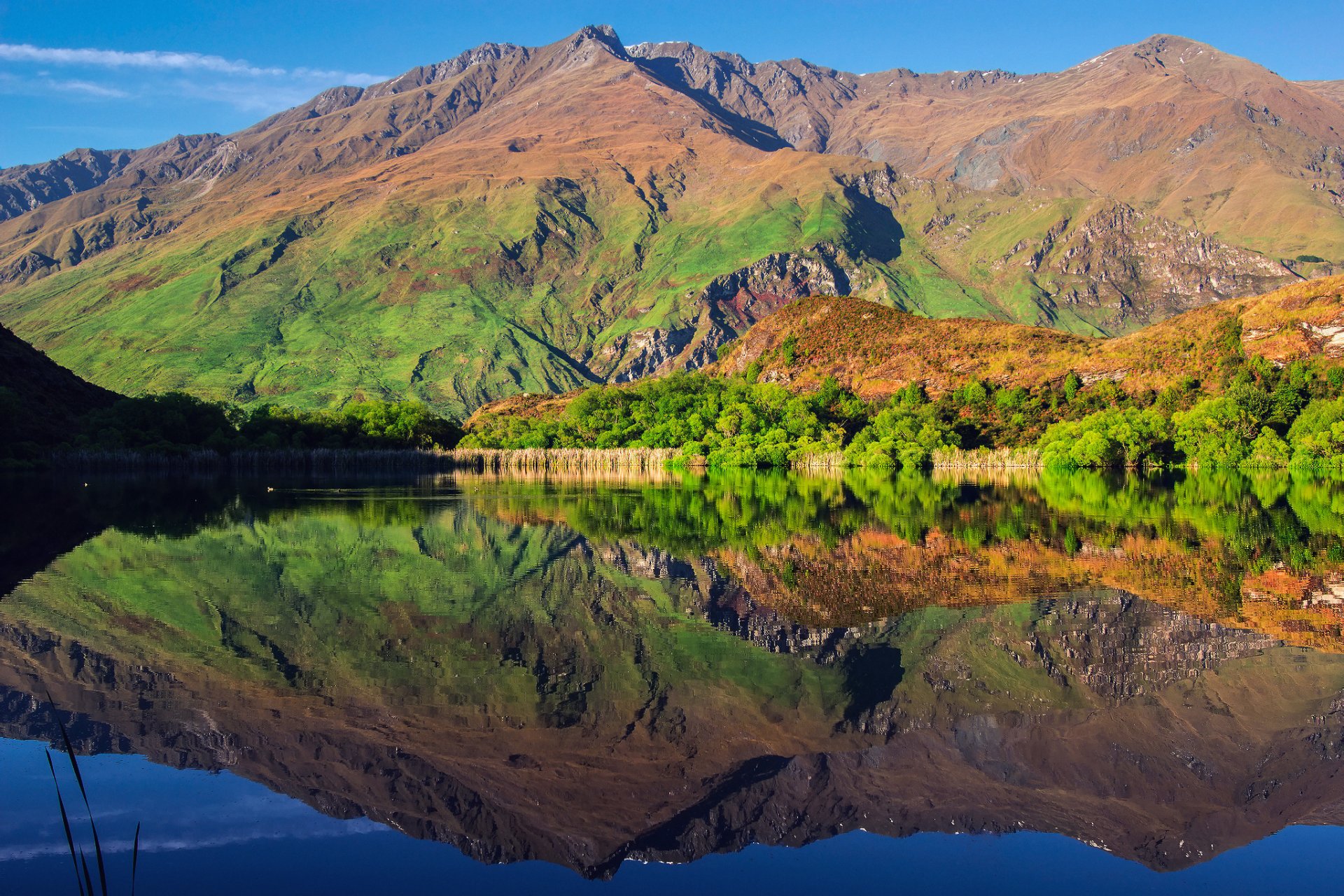 nowa zelandia wyspa południowa park narodowy mount aspyring wanaka diamond lake jezioro góry niebo drzewa odbicia