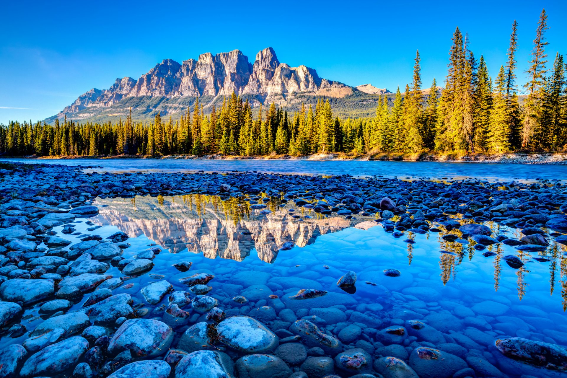 naturaleza montañas piedras bosque