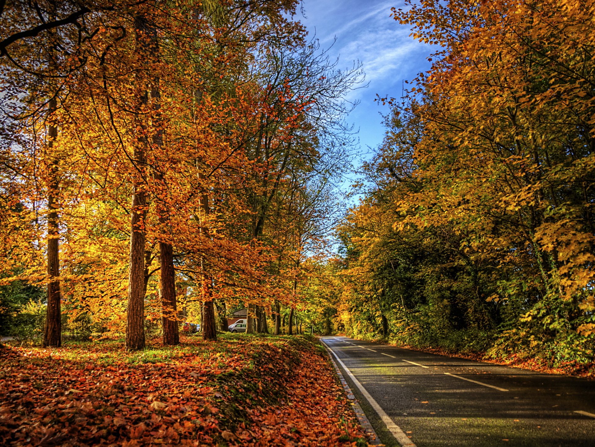 automne route feuilles nature photo