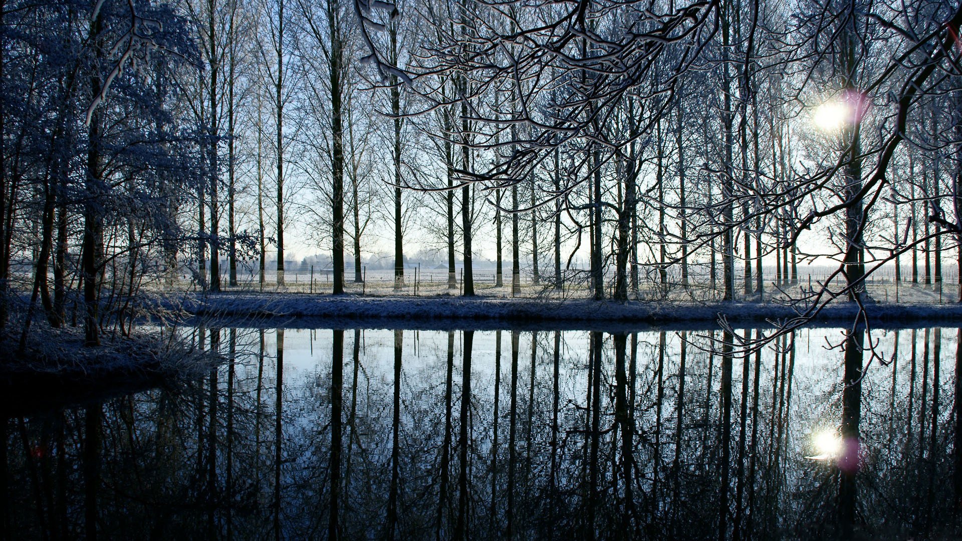 árboles agua río lago reflexión tarde puesta de sol cerca cerca sol nieve invierno ramas