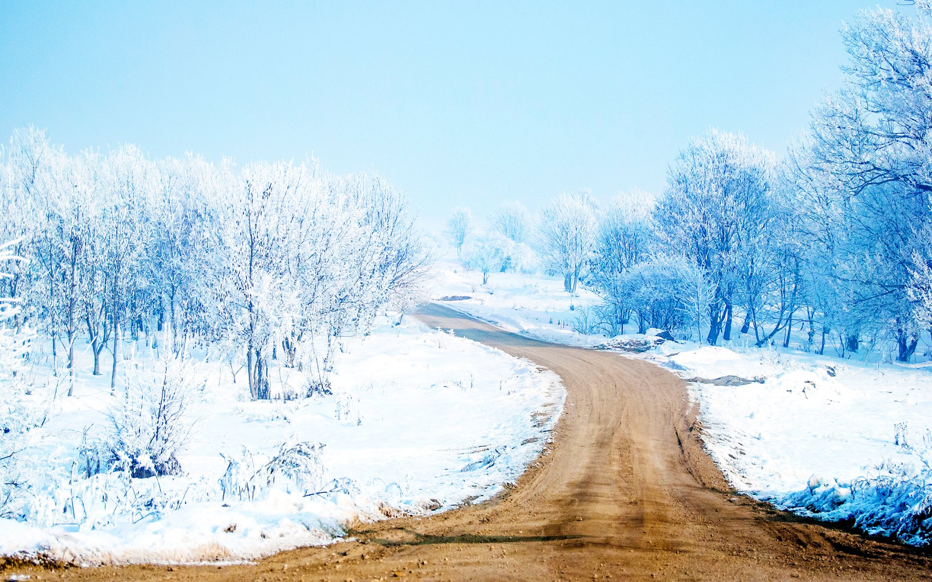 percorso di neve percorso di neve neve strada alberi