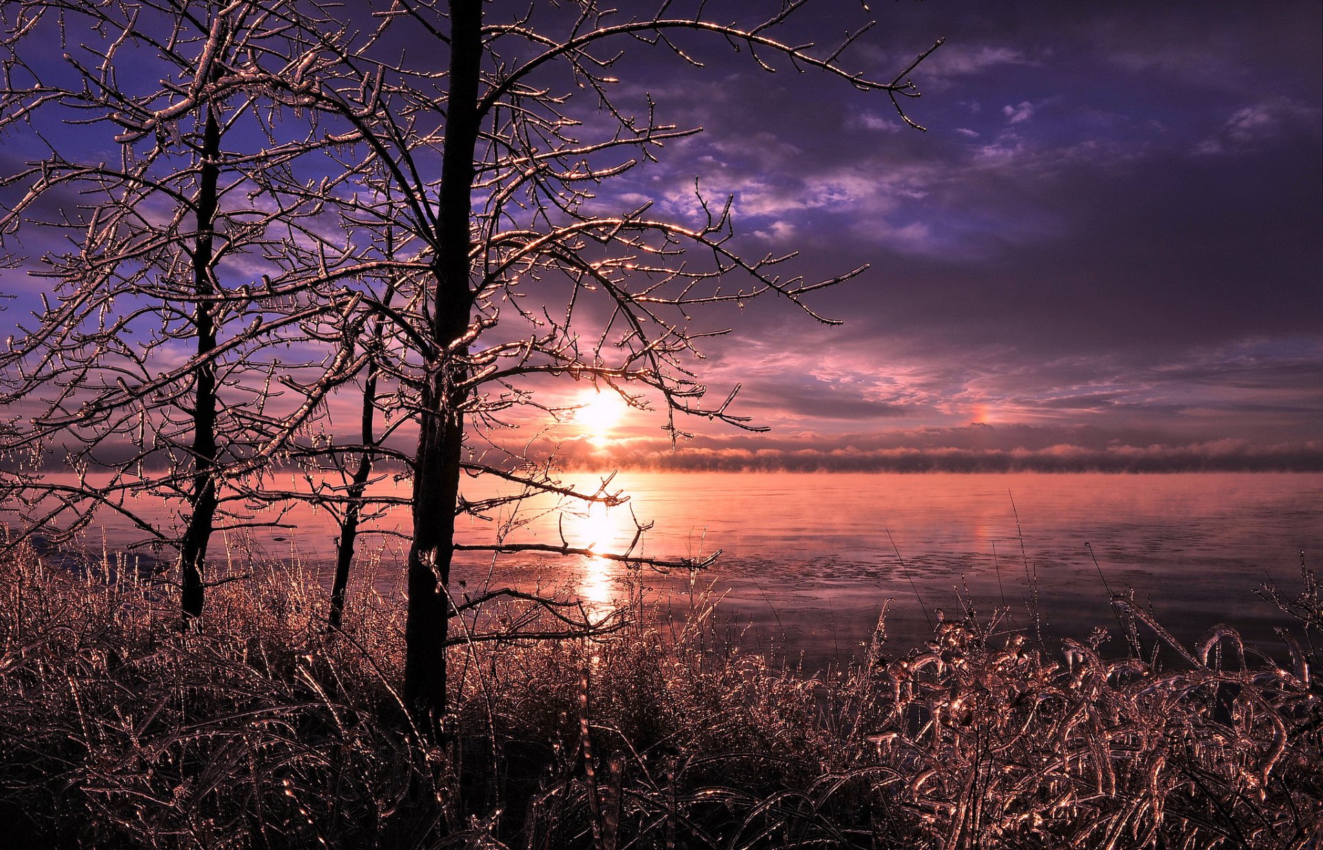 lago árboles hierba hielo invierno