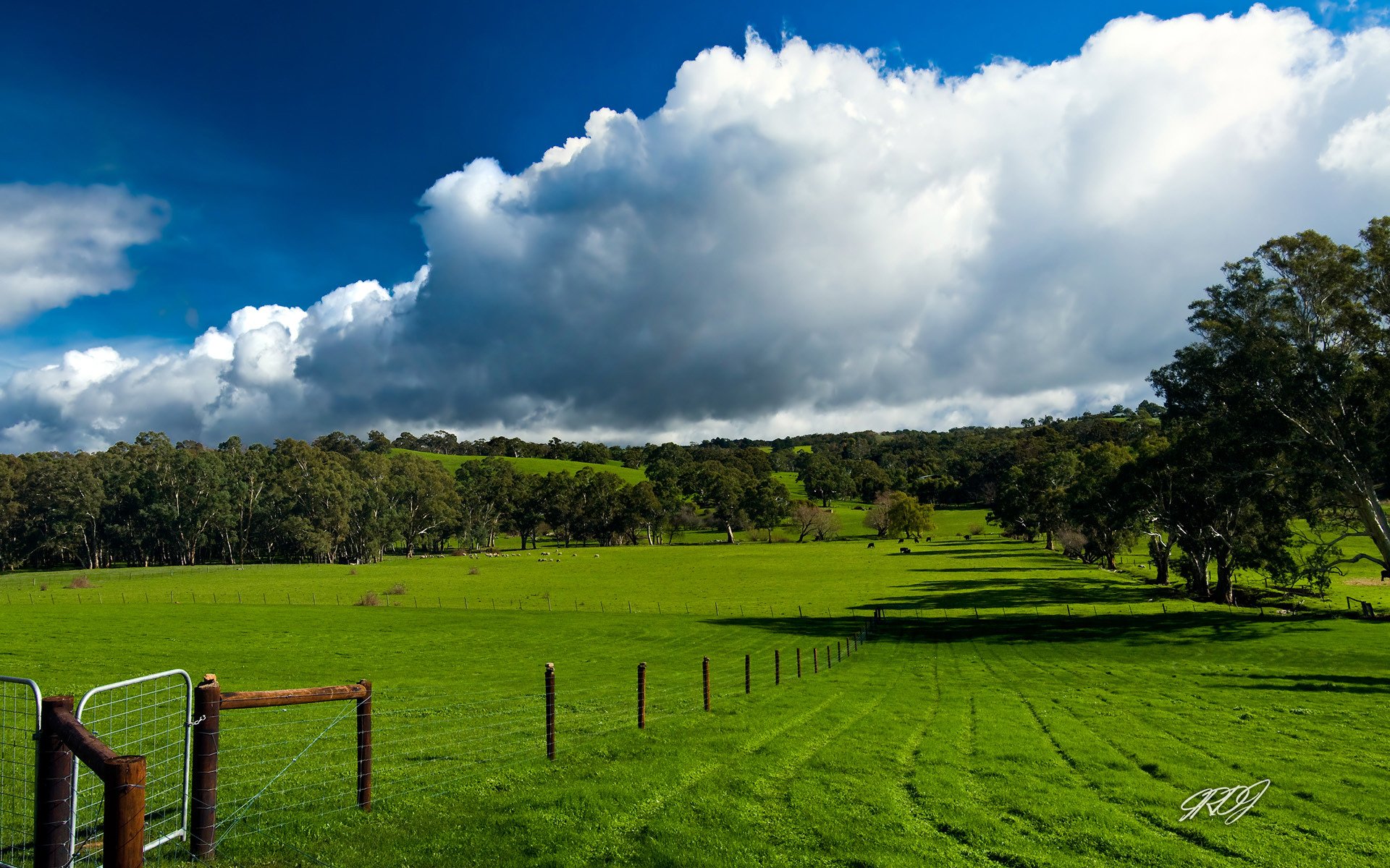 clouds the field supplie