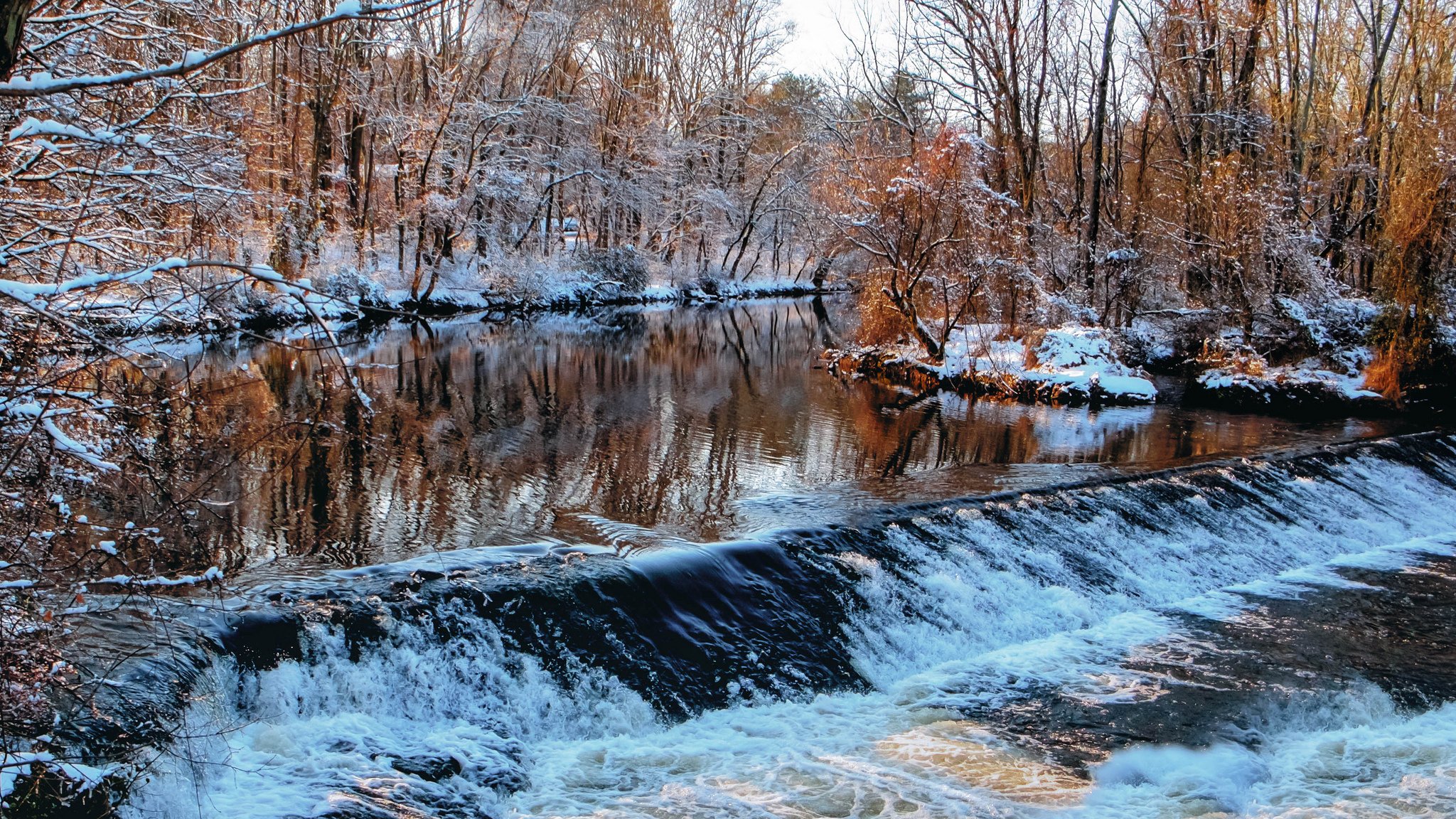 winter forest river threshold feed