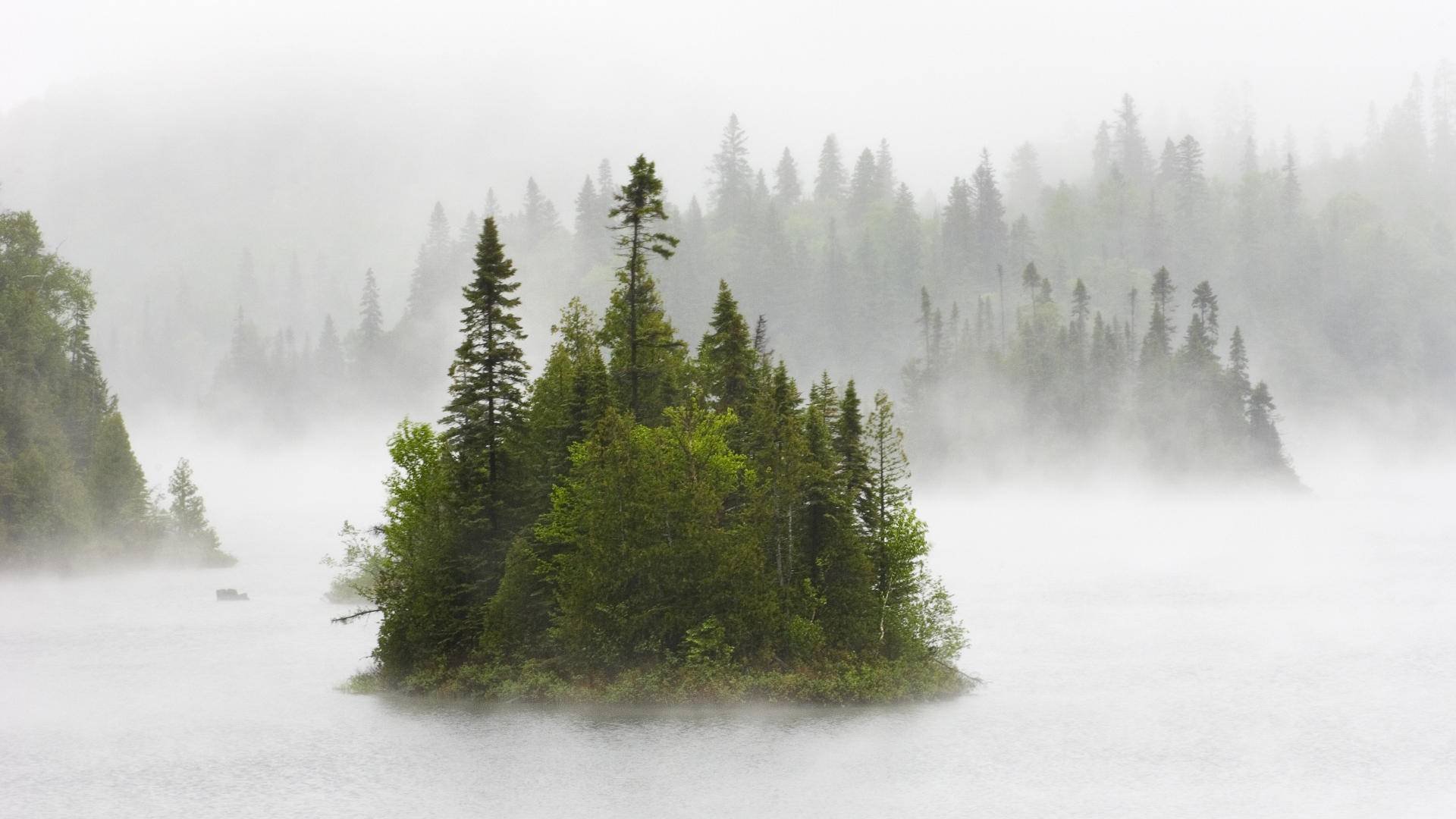 bosque río niebla naturaleza niebla en el lago fentol canadá