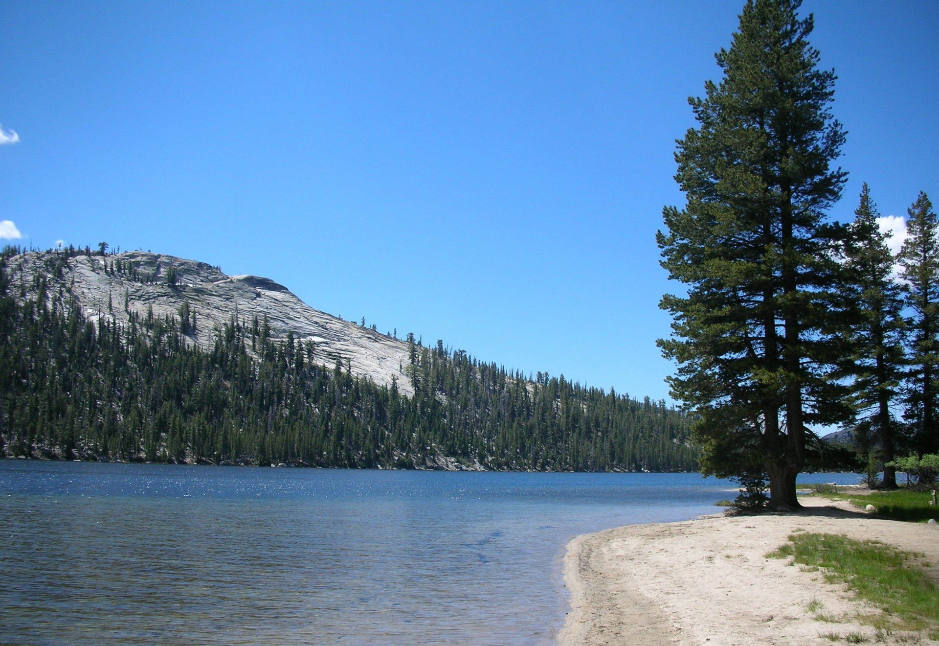 montañas bosque río naturaleza parque nacional de yosemite