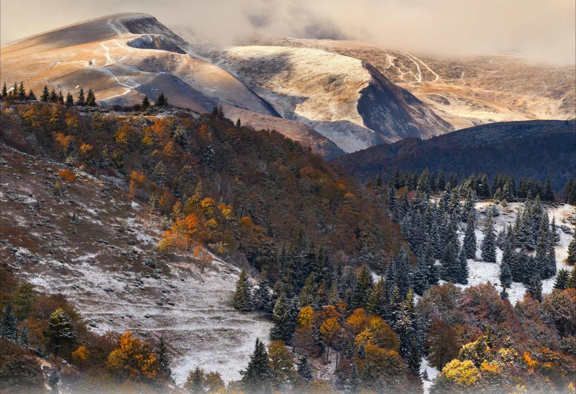 montagne neve foresta nuvole