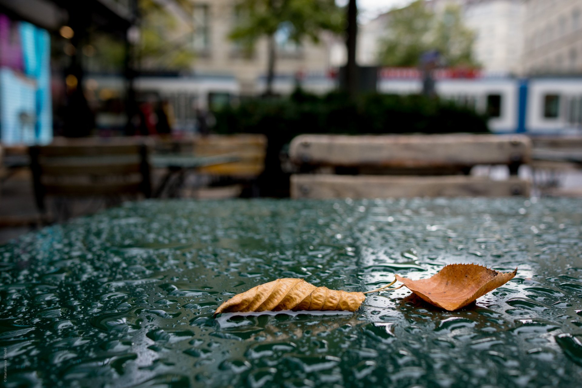 blätter herbst regen tropfen café tisch stadt