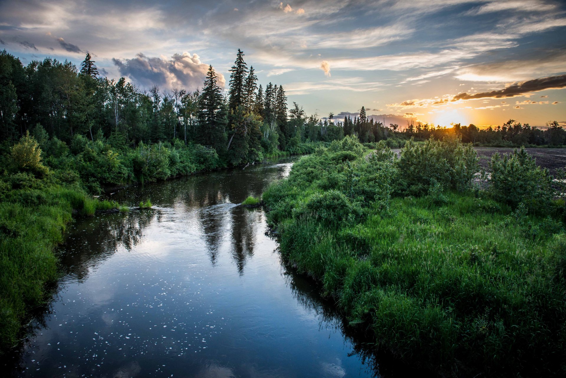 arbres rivière soir coucher de soleil