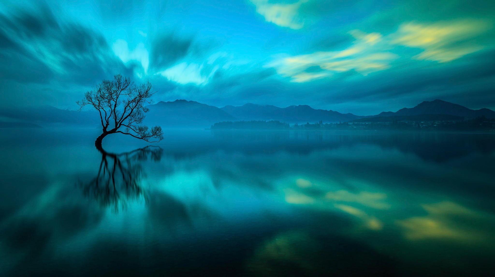 wanaka nouvelle-zélande lac arbre