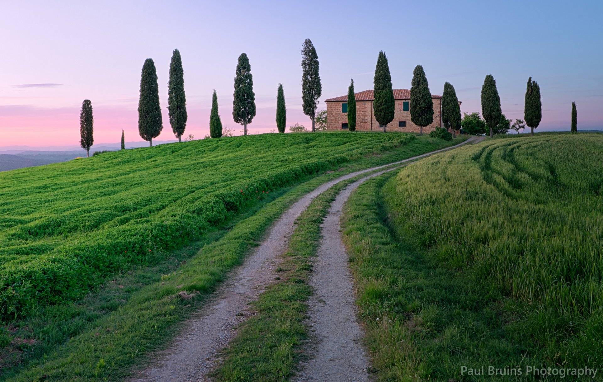 italia toscana strada sentiero erba alberi cipressi sera rosa tramonto cielo nuvole