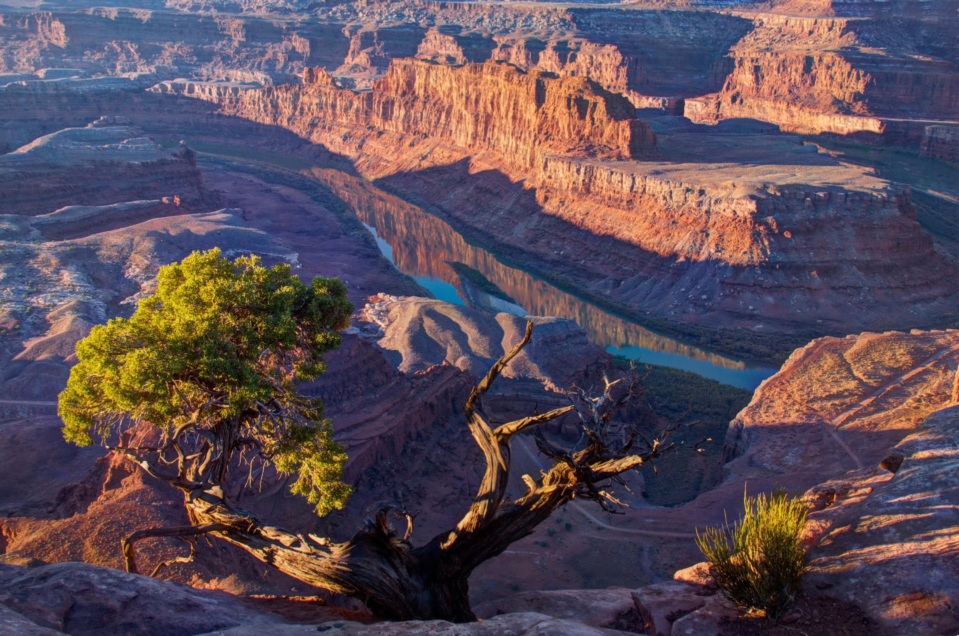 berge utah usa schlucht fluss sonnig licht baum