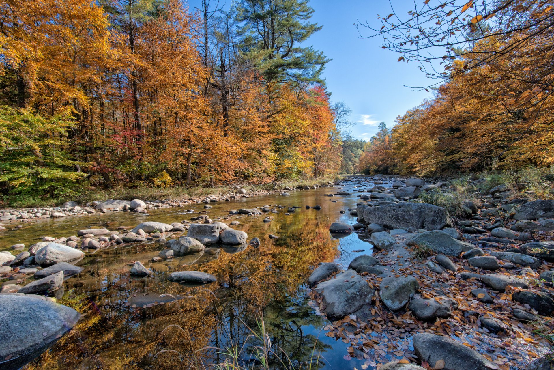 wald fluss steine herbst