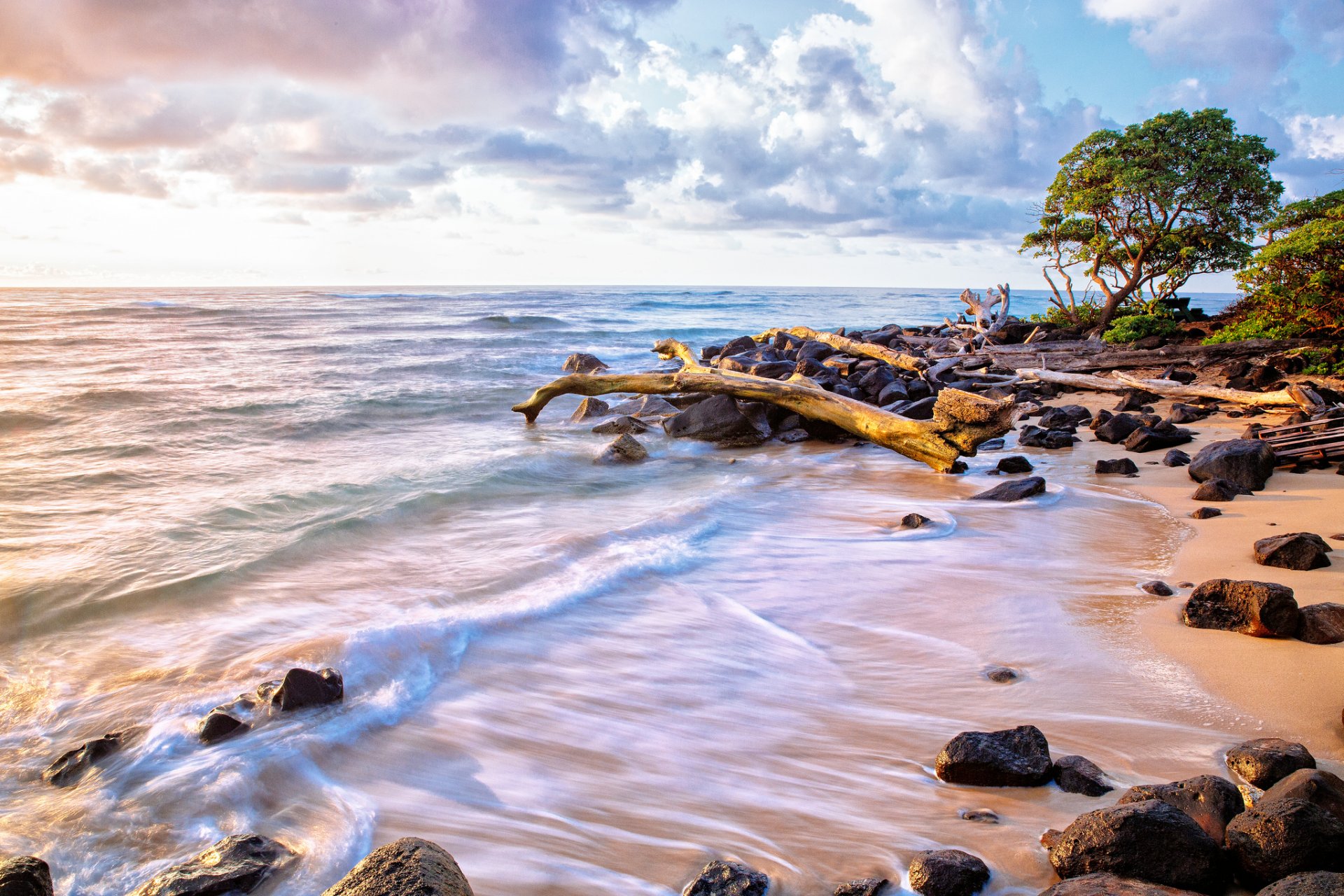 nature mer océan eau vagues plage sable pierres branches arbres ciel nuages