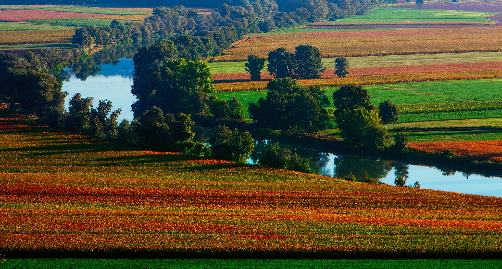 natur sommer fluss felder