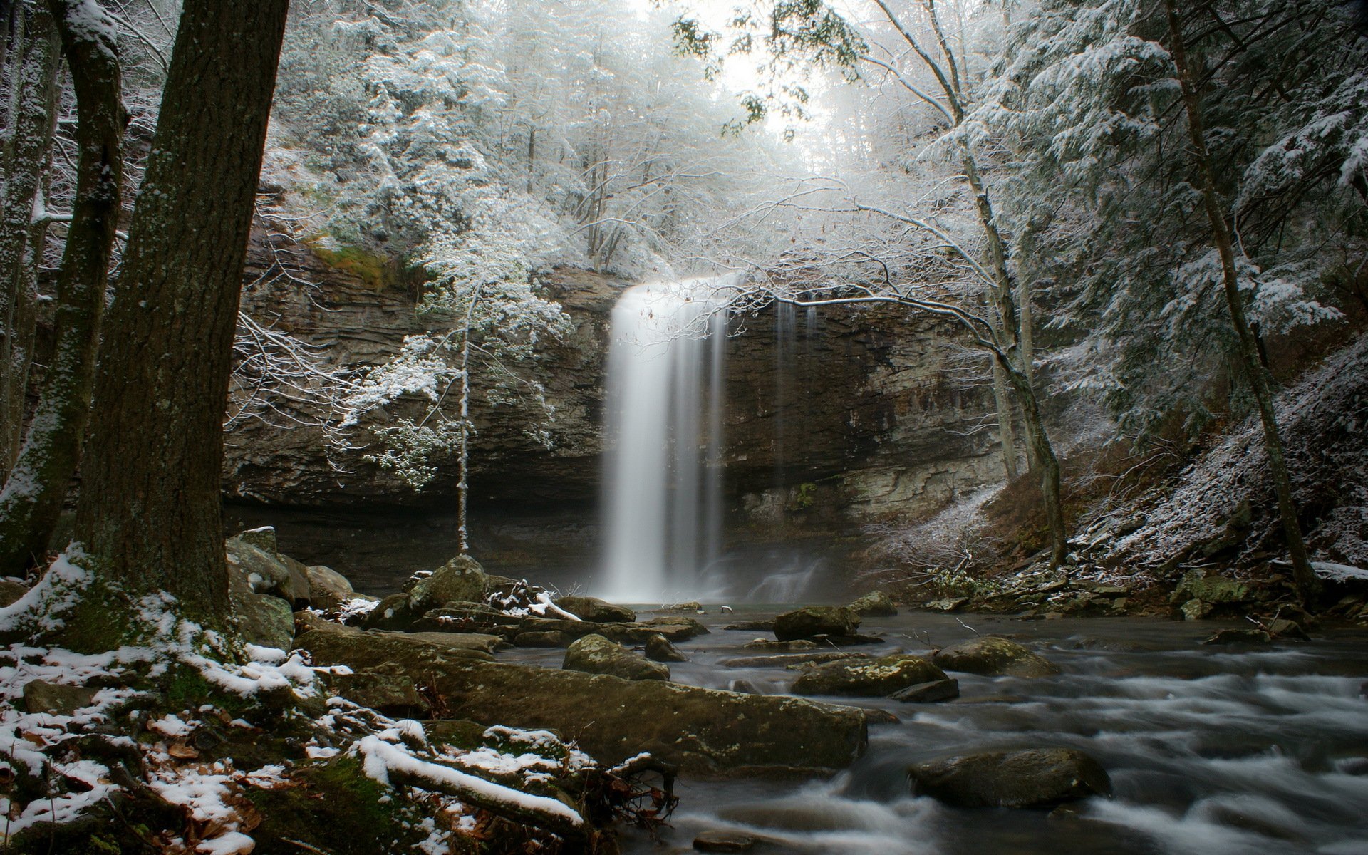 invierno bosque corriente cascada río nieve escarcha