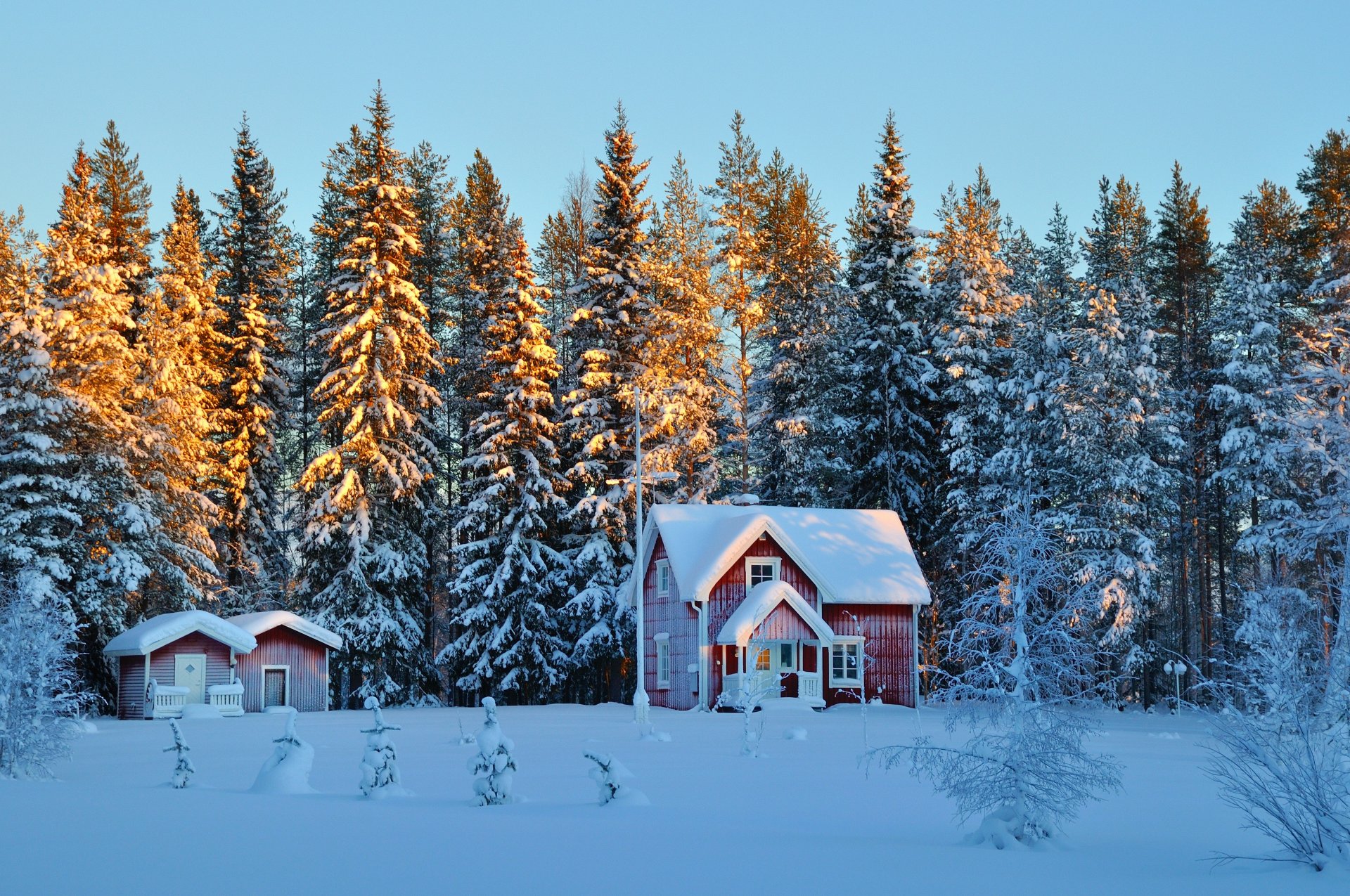 alberi alberi di natale case neve inverno