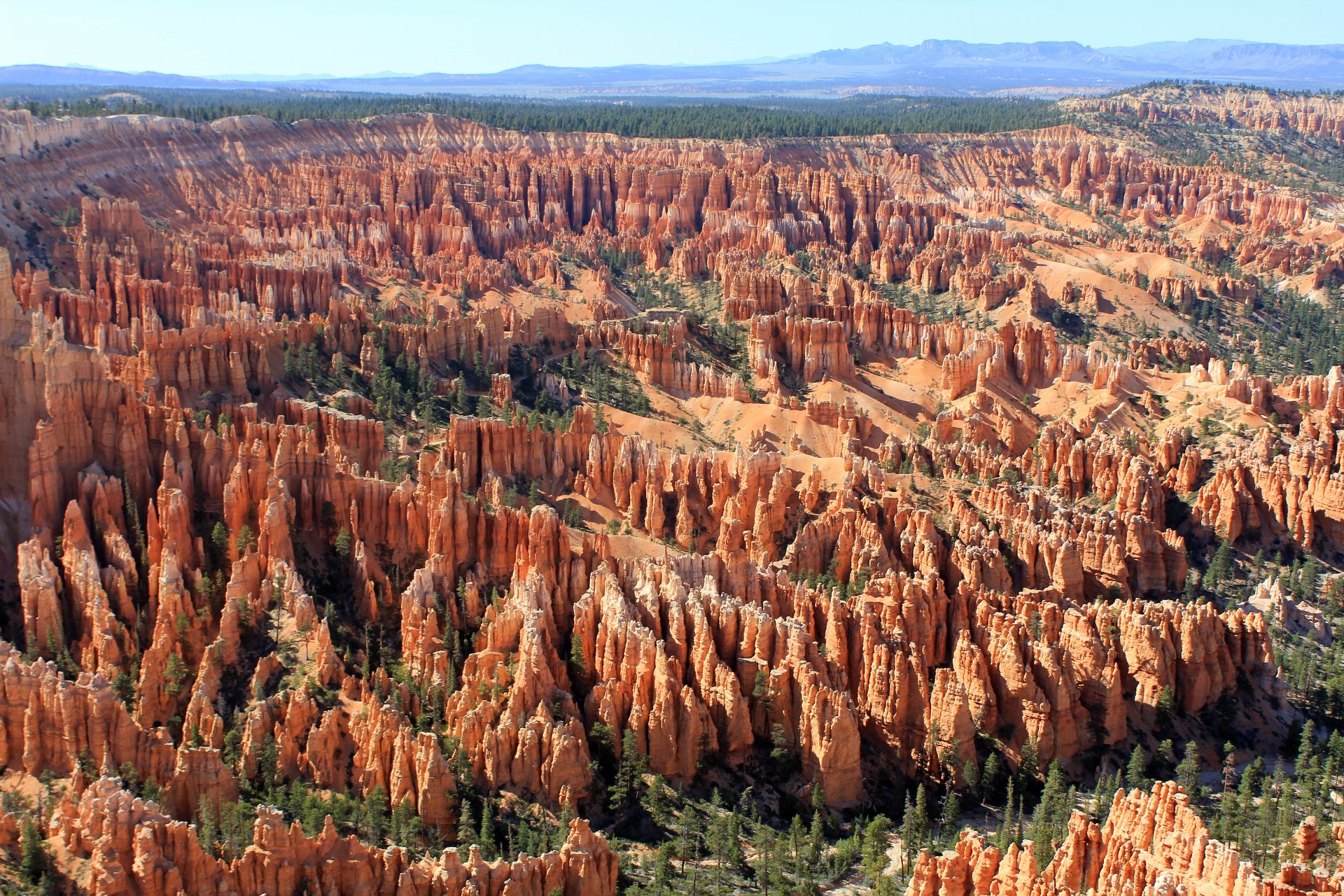 bryce canyon bryce canyon pountssaugant plateau utah usa riesiges natürliches amphitheater rote orange und weiße felsfarben nadelbäume