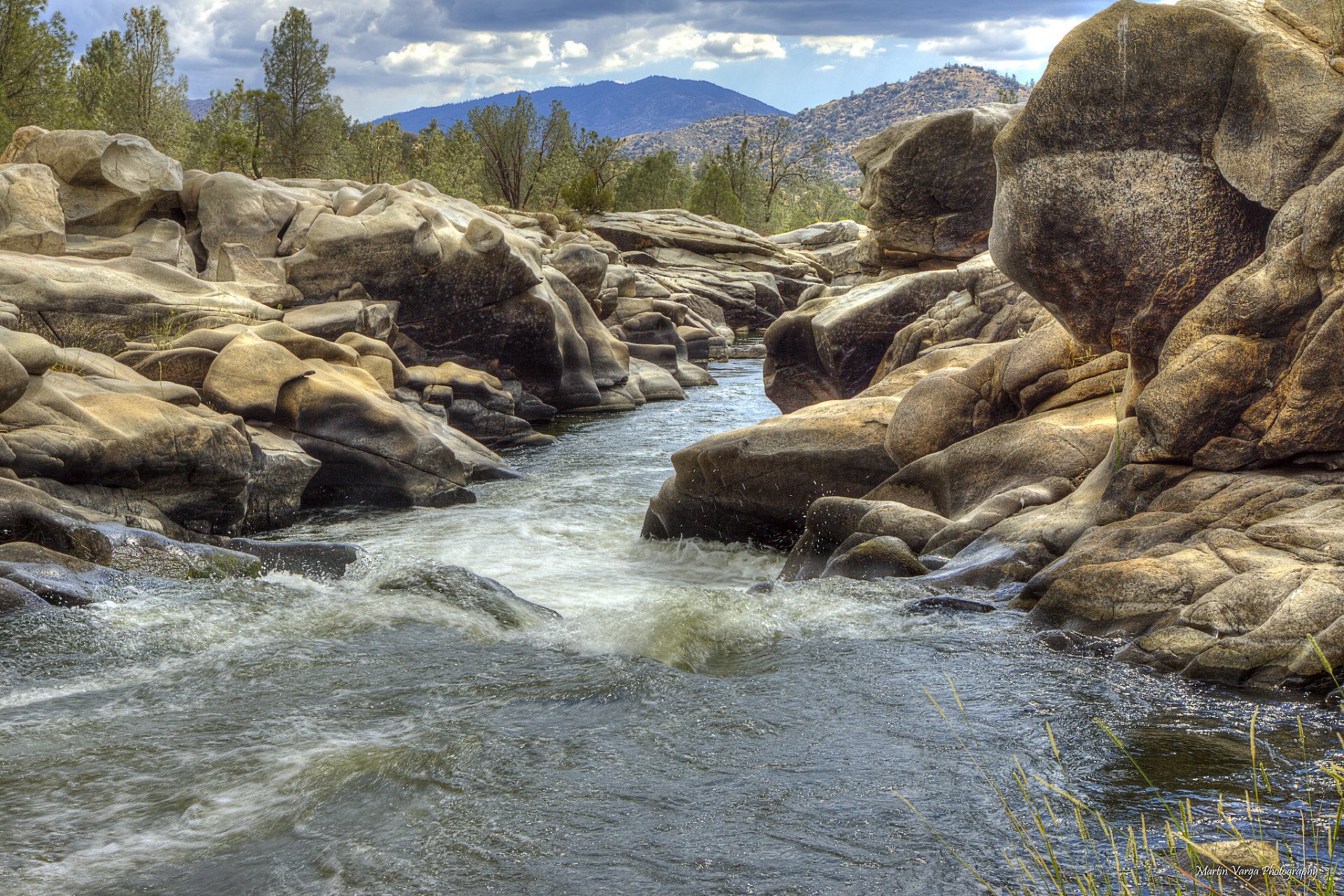 montagne foresta fiume rocce flusso