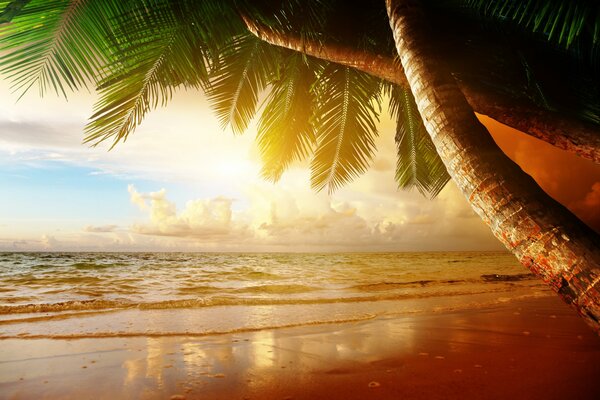 Sonnenuntergang am Strand des Paradieses