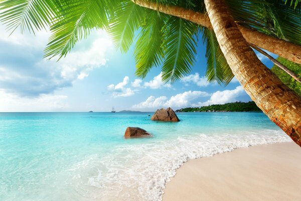 Paradise on a tropical beach