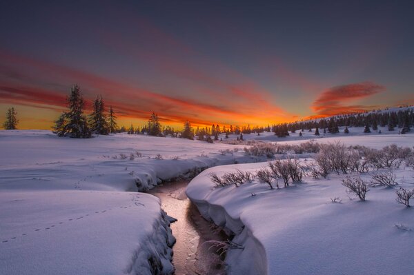 Rivière étroite en hiver à l aube