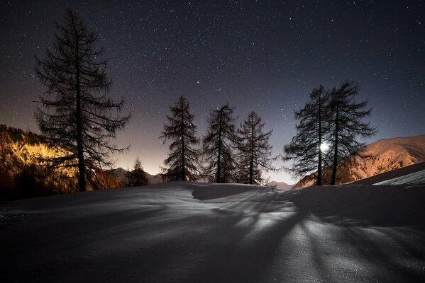 Nature sous la neige pendant la nuit d hiver