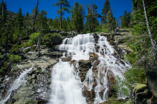 Waterfall in the forest nature