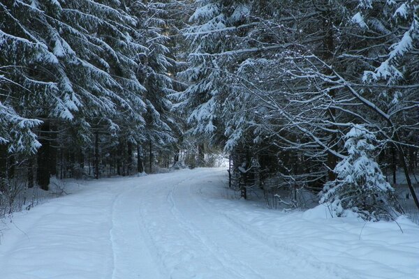 The winter road in the forest is covered with snow