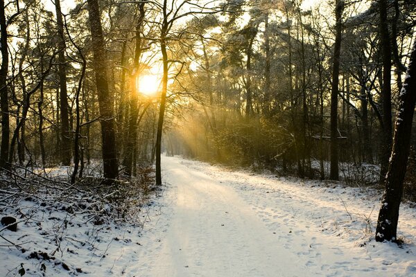 El sol en un día de invierno es hermoso