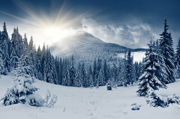 Bright rays of the Sun and a winter mountain landscape