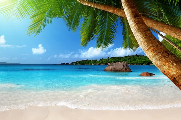 Paradise on a tropical island