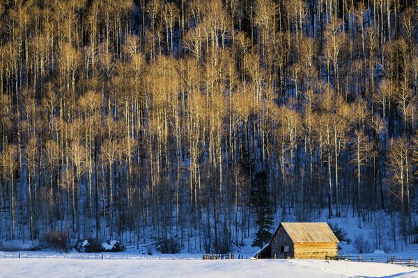 Fienile nella foresta innevata