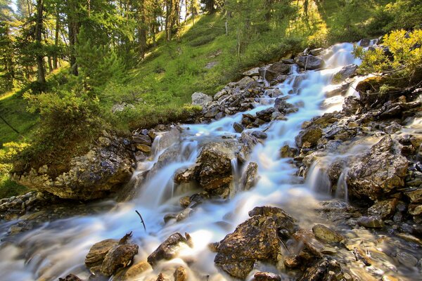 Río de montaña en el bosque antiguo