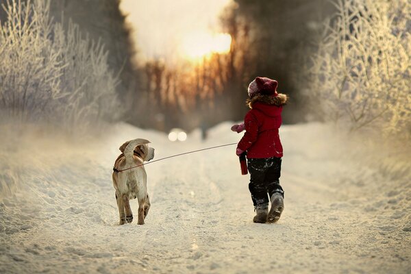 Winter walk of a child with a dog