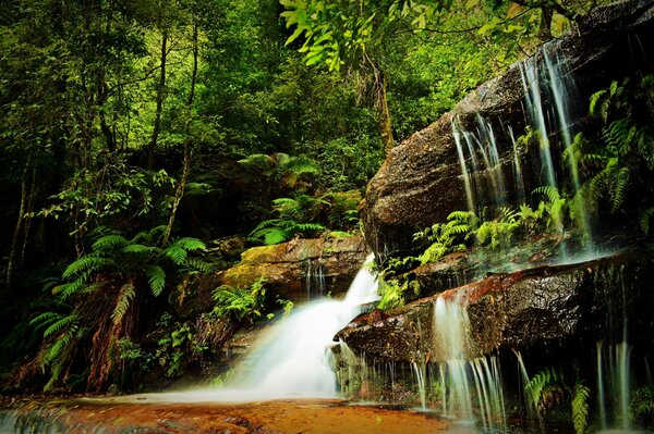 Landschaft, Wasserfall im Wald