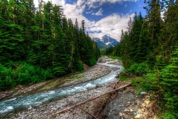 Bellissimo fiume di montagna tra le nuvole