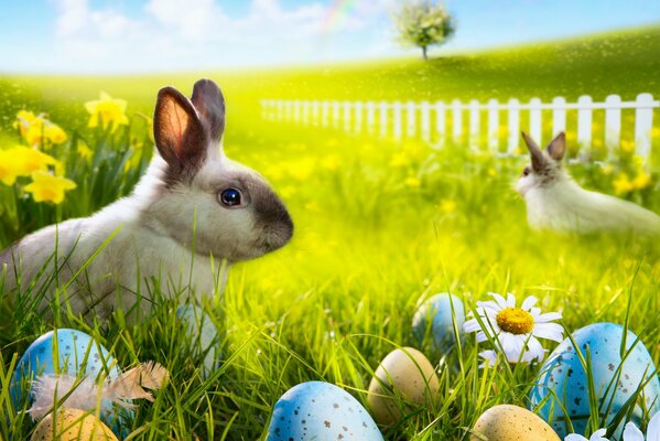 Two Easter bunnies are sitting on the sun-drenched green grass, among flowers and painted eggs against the background of a rainbow in the sky and swallows