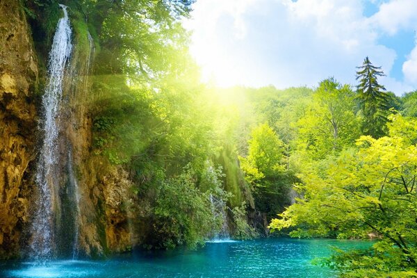 Sonniger Wasserfall im grünen Wald