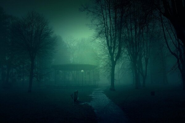 Gloomy foggy Night Park