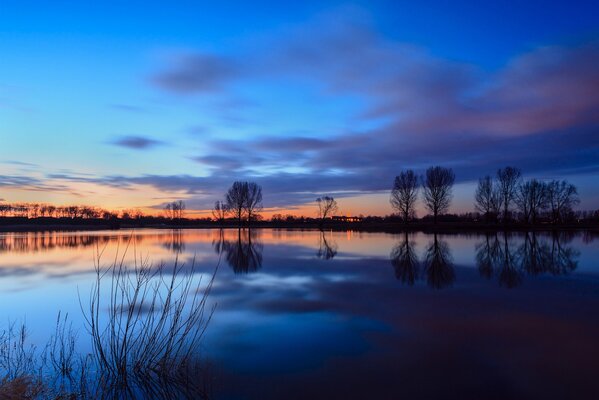 Die Reflexion der Bäume auf der Oberfläche des Flusses. Zwielichtige Landschaft