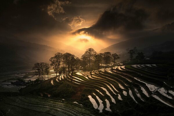 Vietnamesischer Sapa mit dem Sonnenuntergang, der auf Bäume fällt