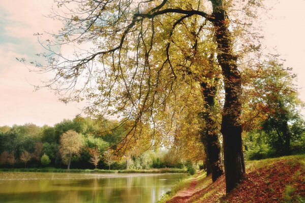 Autumn park on the river bank